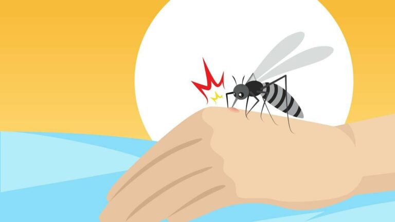 Read more about the article Безопасное лето: как защитить детей от комаров
