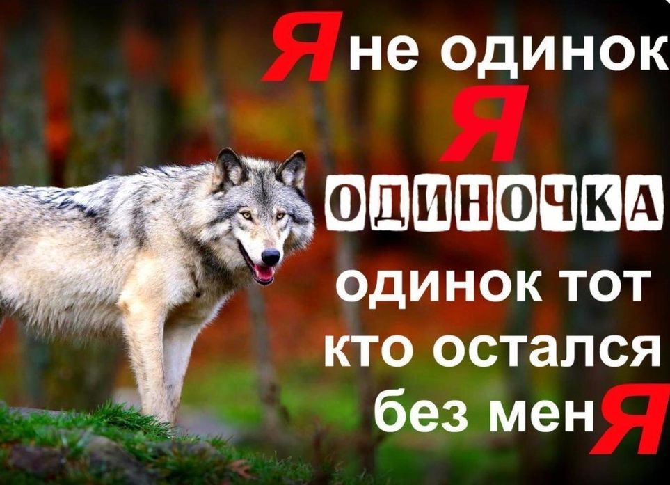 Read more about the article Последний выживший! В провальную The Day Before до сих пор заходит один игрок